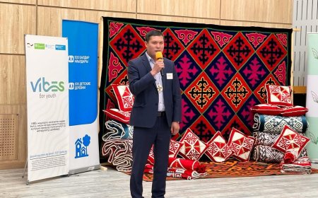 VIBEs жаштар үчүн долбоор