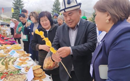 "Профессионалдык багыт берүү"