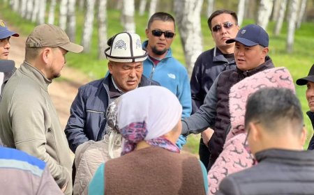 ЭС АЛУУ ЖАЙЛАРЫНЫН КӨЛ ЖЭЭГИНДЕГИ МЫЙЗАМСЫЗ КУРУЛМАЛАР БУЗДУРУЛУУДА