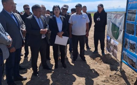 Сугаруу системасы