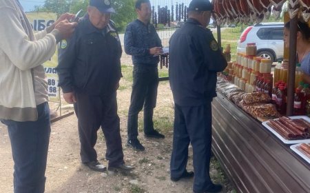 «Ысык-Көлдө жана Соң-Көлдө балыкты өндүрмөлүк кармоого мараторий киргизүү жөнүндө»